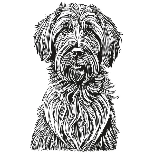 Briard Cão Mão Desenhada Logotipo Desenho Preto Branco Linha Arte — Vetor de Stock