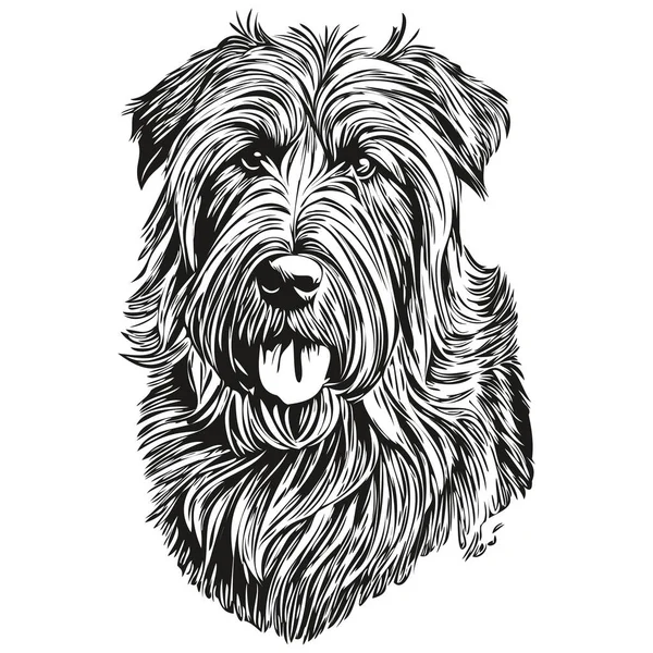 Briard Dog Head Line Drawing Vector Hand Drawn Illustration Transparent — Stock Vector