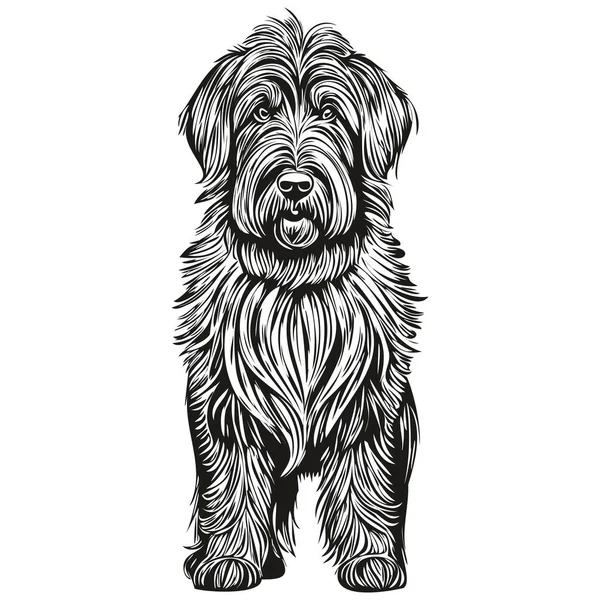 Briard Σκυλί Μελάνι Σκίτσο Σχέδιο Ρετρό Τατουάζ Πουκάμισο Εκτύπωσης Μαύρο — Διανυσματικό Αρχείο