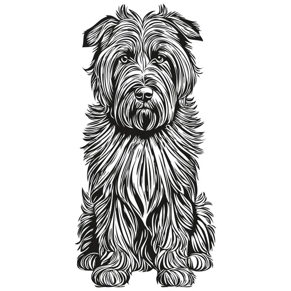 Briard Hund Isolerad Ritning Vit Bakgrund Huvud Husdjur Linje Illustration — Stock vektor