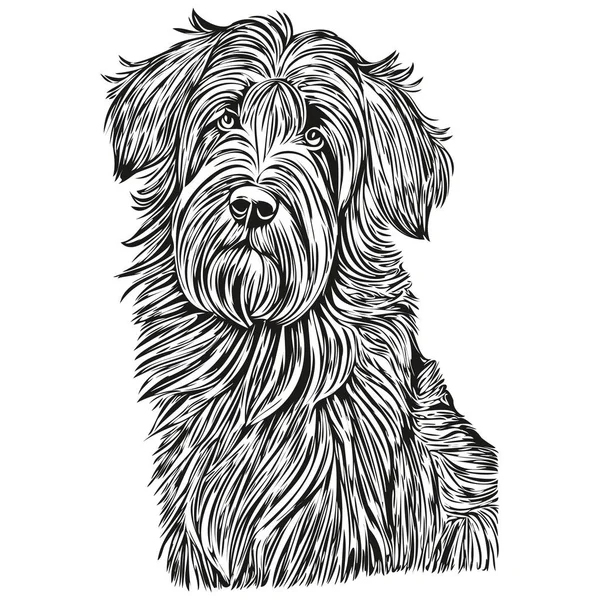 Briard Hund Linje Illustration Svart Och Vitt Bläck Skiss Ansikte — Stock vektor