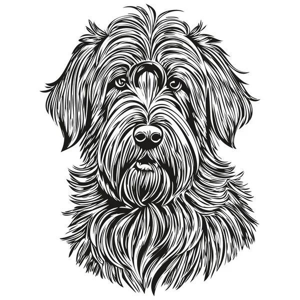 ブリアード犬のロゴベクトル黒と白 ヴィンテージかわいい犬の頭の彫刻スケッチ図面 — ストックベクタ