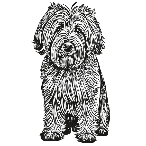 Briard Dog Logo Vektor Schwarz Weiß Vintage Niedlicher Hundekopf Graviert — Stockvektor