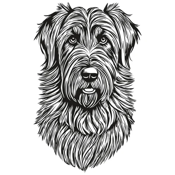 Briard Σκυλί Περίγραμμα Μολύβι Σχέδιο Τέχνης Μαύρο Χαρακτήρα Λευκό Φόντο — Διανυσματικό Αρχείο