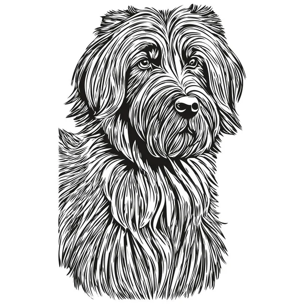Briard Hund Kontur Penna Teckning Konstverk Svart Tecken Vit Bakgrund — Stock vektor