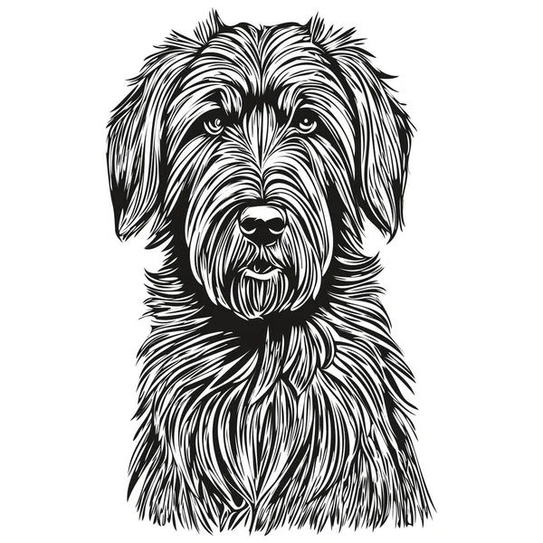 Briard Hund Sällskapsdjur Silhuett Djur Linje Illustration Handritad Svart Och — Stock vektor