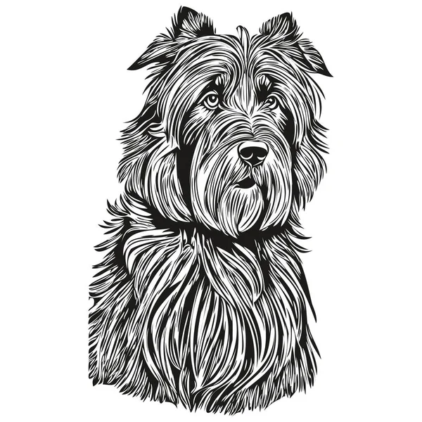 Briard Hund Sällskapsdjur Silhuett Djur Linje Illustration Handritad Svart Och — Stock vektor