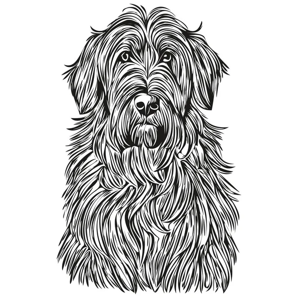 Бріарний Собака Собака Ескіз Ілюстрація Чорно Білий Гравірування Вектор Реалістична — стоковий вектор