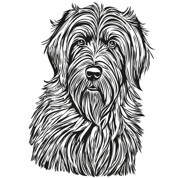 Portrait Chien Briard Vecteur Dessin Main Animal Pour Tatouage Tshirt — Image vectorielle
