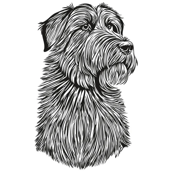 犬の顔黒と白の現実的な品種のペットのベクトル ラインアートイラストで実際の鉛筆画 — ストックベクタ