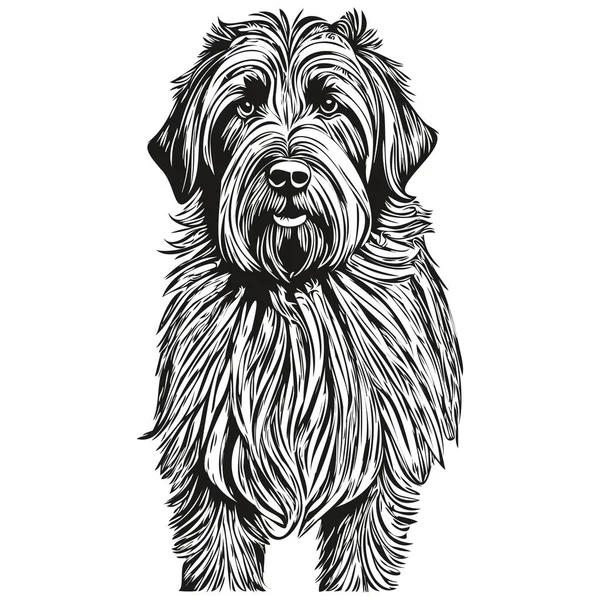 Брідний Собака Реалістична Ілюстрація Домашнього Улюбленця Малюнок Рук Обличчя Чорно — стоковий вектор