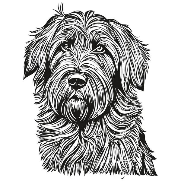 毛犬の現実的なペットのイラスト 手描きの顔黒と白のベクトル現実的なペットのシルエット — ストックベクタ