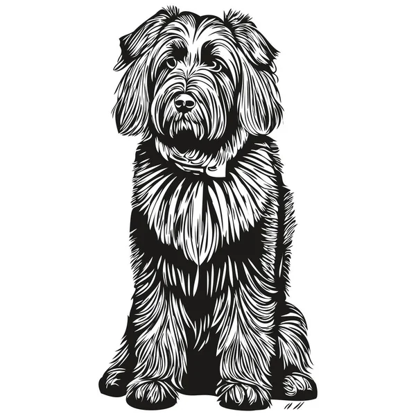 Briard Dog Silhouette Pet Character Clip Art Vector Pets Drawing — Stock Vector