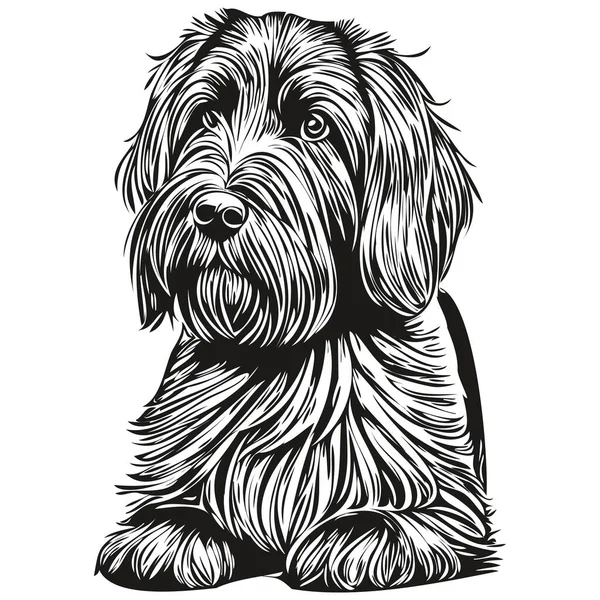 Briard Hund Silhouette Haustier Charakter Clip Art Vektor Haustiere Zeichnung — Stockvektor