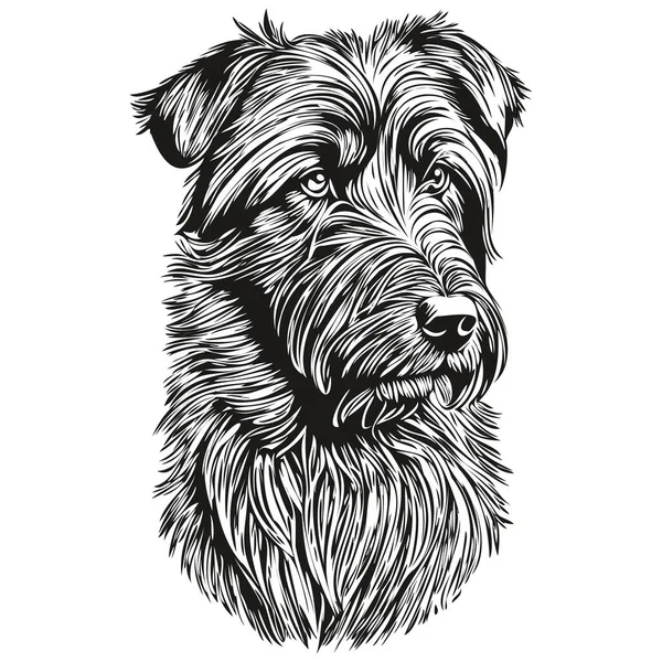 Briard Pes Realistický Pet Ilustrace Ruční Kreslení Tvář Černá Bílá — Stockový vektor