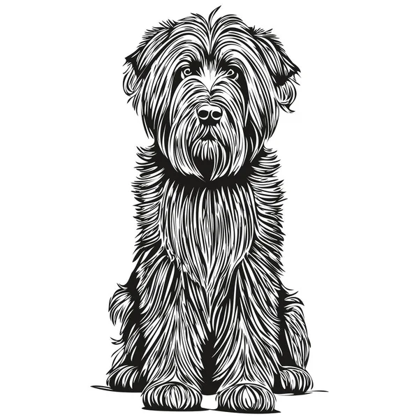 Briard Cão Silhueta Pet Personagem Clip Arte Vetor Animais Estimação —  Vetores de Stock