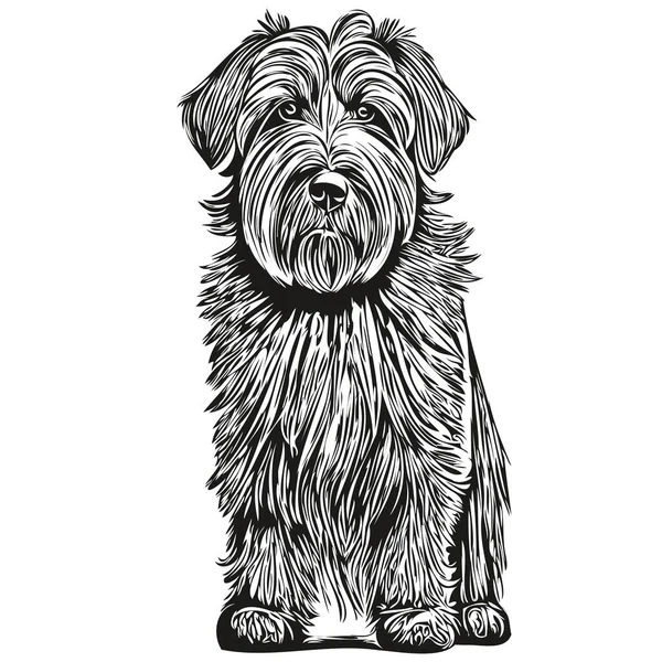Сорочка Собак Бріард Принт Чорно Білий Милий Смішний Контурний Малюнок — стоковий вектор