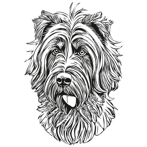 Briard Hund Vektor Ansikte Rita Porträtt Skissa Vintage Stil Transparent — Stock vektor