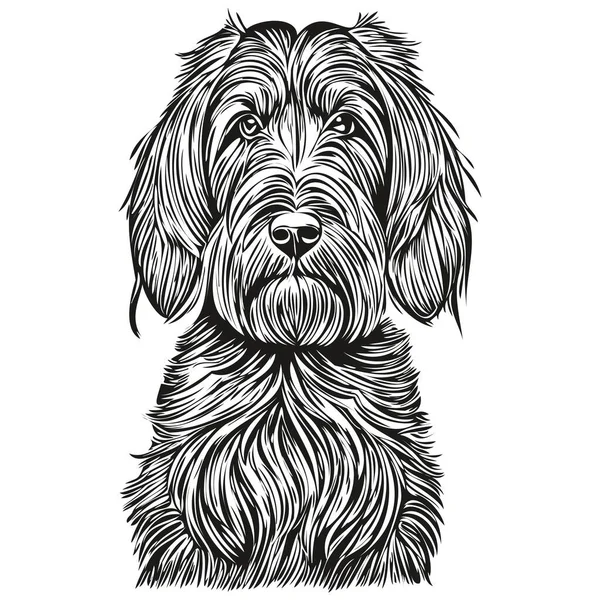 ブリアード犬ベクトルグラフィック 手描き鉛筆動物ラインイラスト現実的な品種ペット — ストックベクタ
