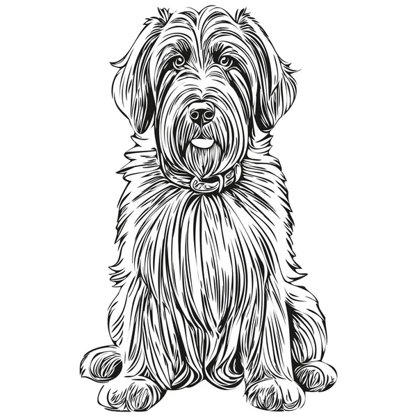 ブリアード犬ベクトルグラフィック 手描きの鉛筆動物ラインイラスト — ストックベクタ
