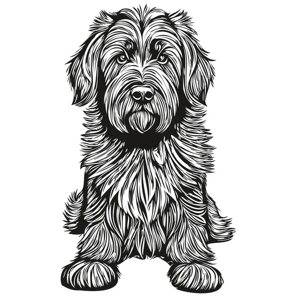 Briard Cão Vetor Gráficos Desenhado Mão Lápis Animal Linha Ilustração —  Vetores de Stock