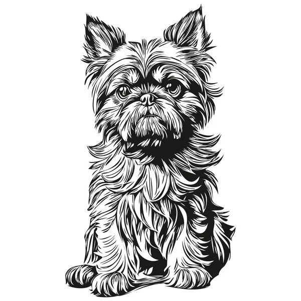 Bruxelas Griffon Cão Raça Linha Desenho Clip Arte Animal Mão — Vetor de Stock