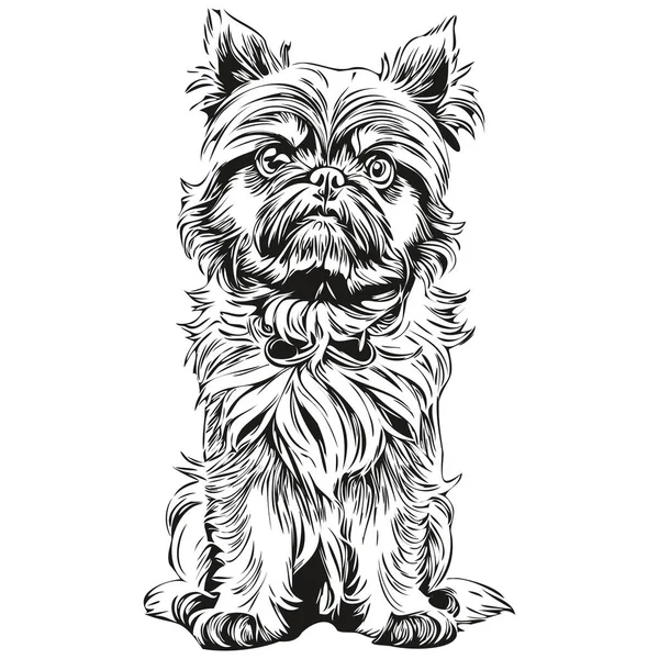 Bruxelas Griffon Cão Raça Linha Desenho Clip Arte Animal Mão — Vetor de Stock
