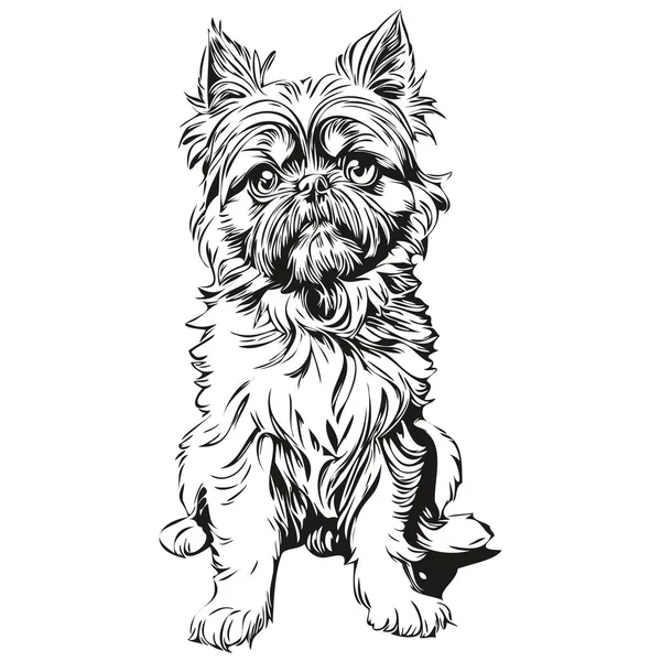Brüssel Griffon Dog Cartoon Gesicht Tusche Porträt Schwarz Weiß Skizzenzeichnung — Stockvektor