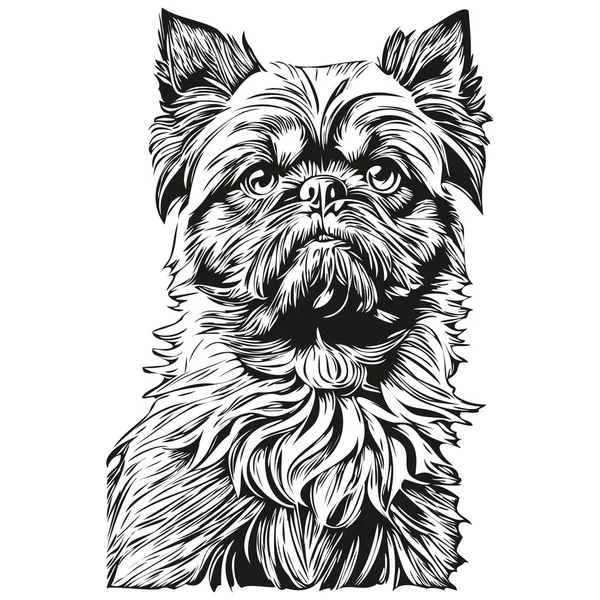 Brüssel Griffon Hund Cartoon Gesicht Tusche Porträt Schwarz Weiß Skizzenzeichnung — Stockvektor