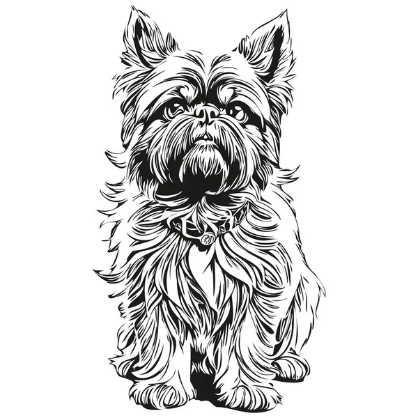 Bryssel Griffon Hund Hand Dras Logotyp Ritning Svart Och Vit — Stock vektor
