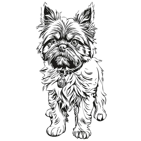 布鲁塞尔格里芬犬水墨画 古色古香纹身或T恤印花黑白病媒逼真品种宠物 — 图库矢量图片