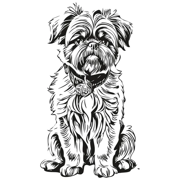 Bruxelas Griffon Cão Isolado Desenho Sobre Fundo Branco Cabeça Pet — Vetor de Stock