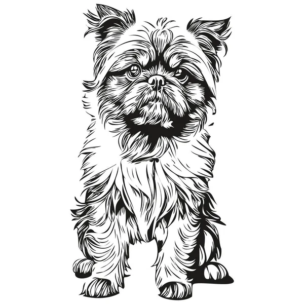 ブリュッセルグリフィス犬のラインイラスト 黒と白のインクのスケッチ顔の肖像画でベクトル現実的な品種のペット — ストックベクタ