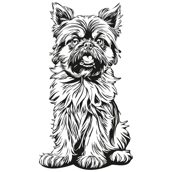 Bruxelas Griffon Cão Lápis Mão Desenho Vetor Esboço Ilustração Pet — Vetor de Stock
