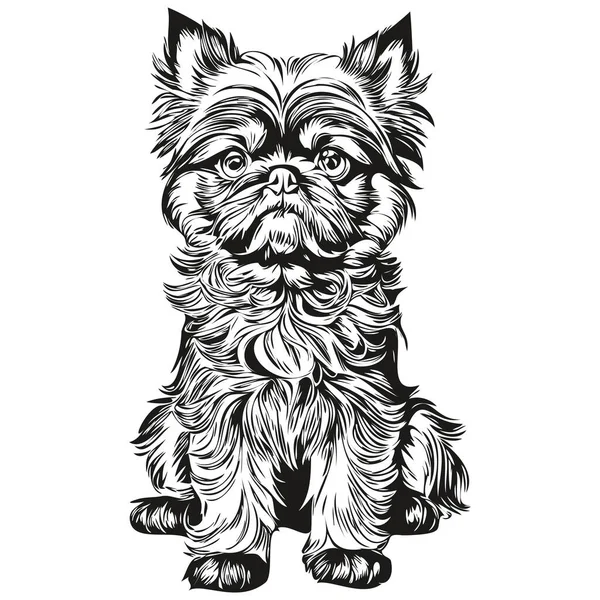 Bruxelas Griffon Cão Pet Silhueta Animal Linha Ilustração Mão Desenhado — Vetor de Stock