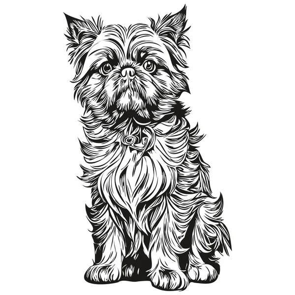 Bruxelas Griffon Cão Pet Esboço Ilustração Preto Branco Gravura Vetor — Vetor de Stock