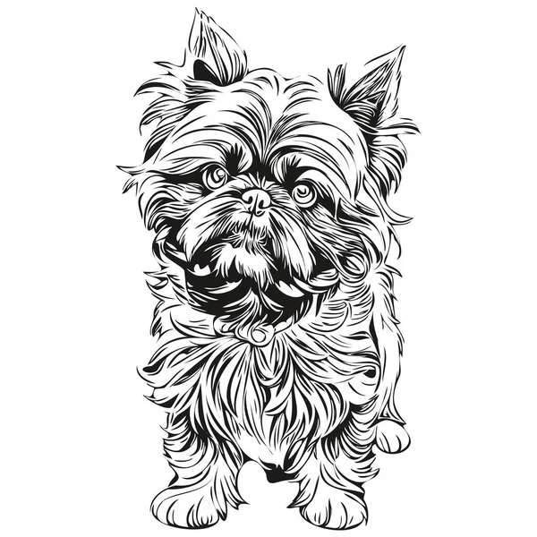 Brüssel Griffon Hund Realistische Haustier Illustration Handzeichnung Gesicht Schwarz Weiß — Stockvektor