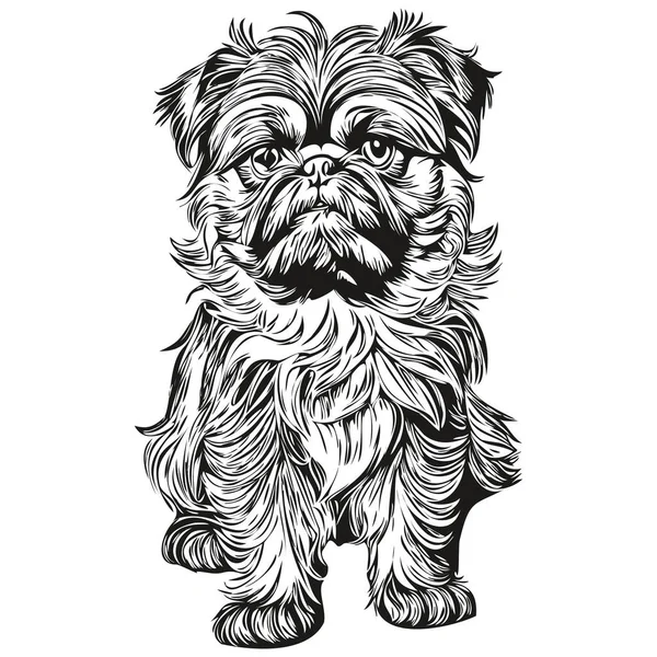 Bruksela Griffon Pies Realistyczny Zwierzak Ilustracja Ręka Rysunek Twarz Czarny — Wektor stockowy