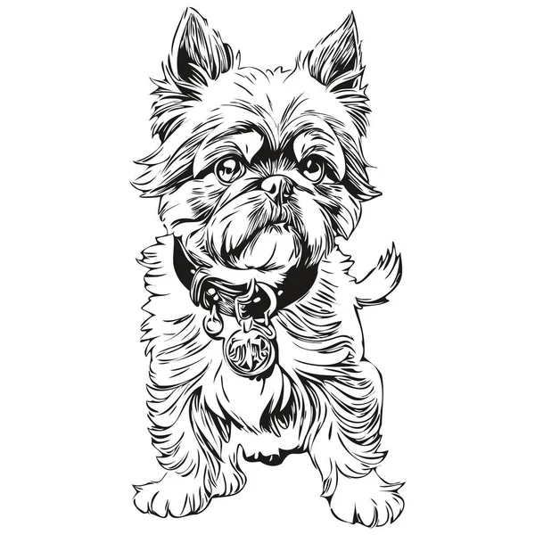Bruxelas Griffon Cão Silhueta Pet Personagem Clip Arte Vetor Animais — Vetor de Stock