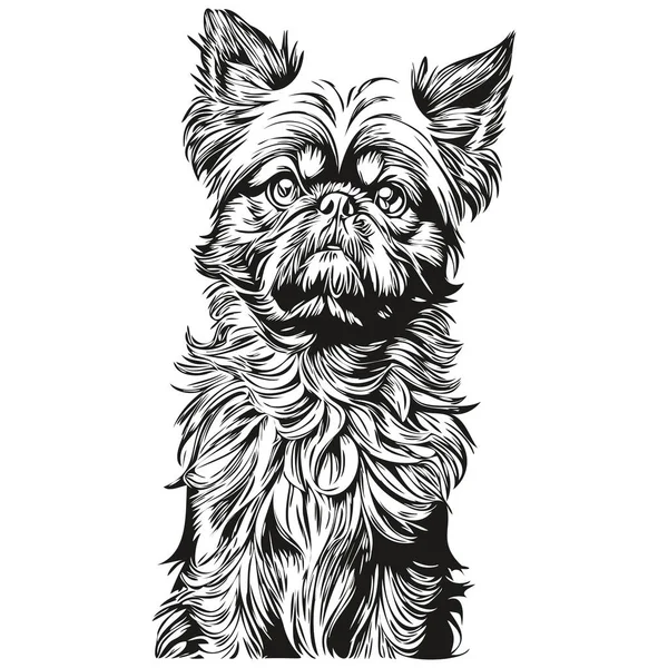 Brüssel Griffon Hund Shirt Print Schwarz Und Weiß Süße Lustige — Stockvektor