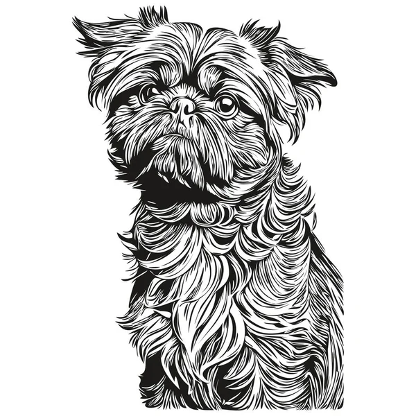 Brüssel Griffon Hund Vektorgrafik Handgezeichnete Bleistift Tier Linie Illustration Skizze — Stockvektor