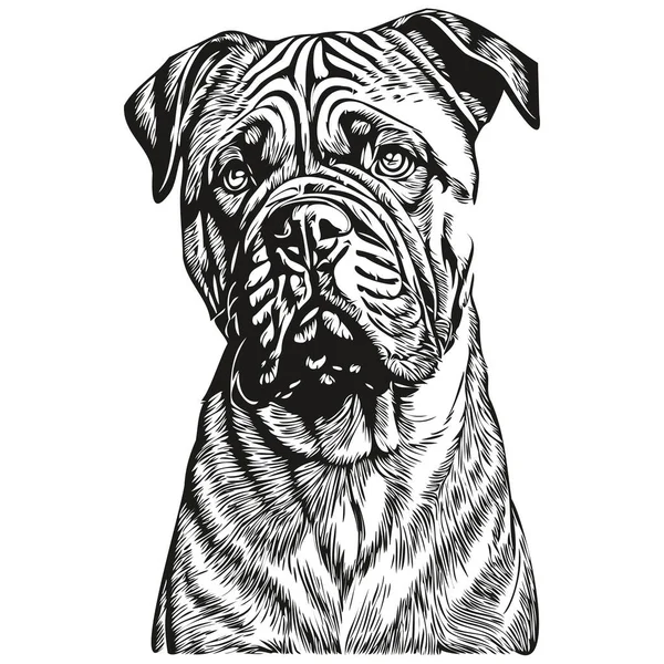 Bullmastiff Dog Breed Line Drawing Clip Art Animal Hand Drawing - Stok Vektor