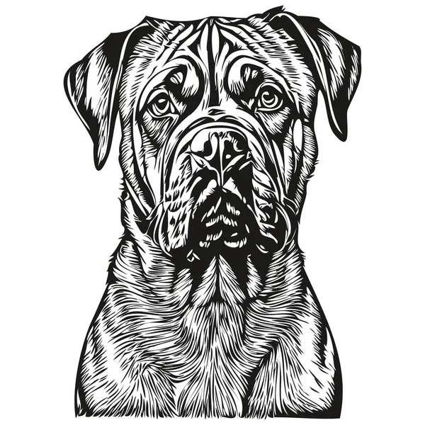 Bullmastiff Dog Black Drawing Vector Isolated Face Painting Sketch Line — Stock Vector