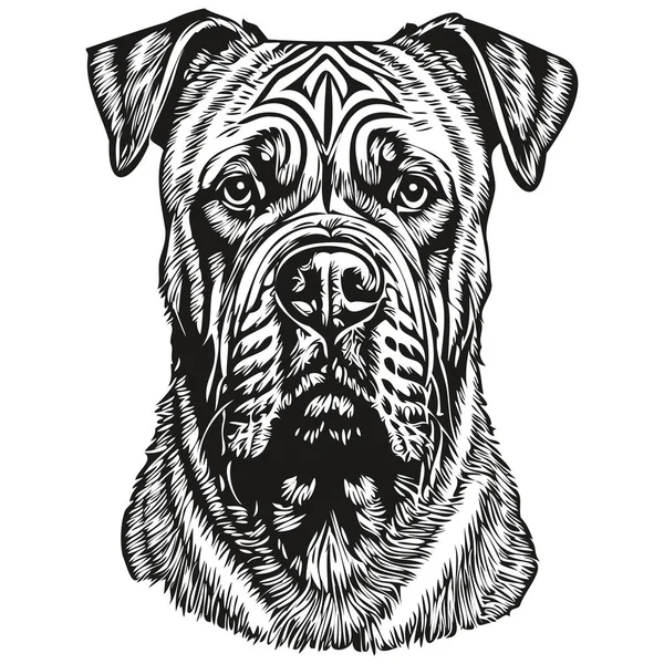 Bullmastiff Köpek Siyah Çizim Vektörü Izole Yüz Boyama Çizimi Çizim — Stok Vektör