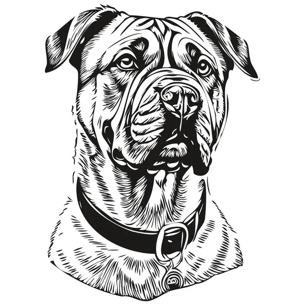 Bullmastiff Cão Raça Linha Desenho Clip Arte Animal Mão Desenho —  Vetores de Stock