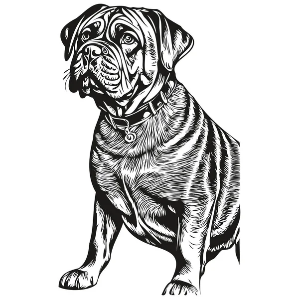 Bullmastiff Cão Desenho Animado Rosto Tinta Retrato Desenho Esboço Preto — Vetor de Stock