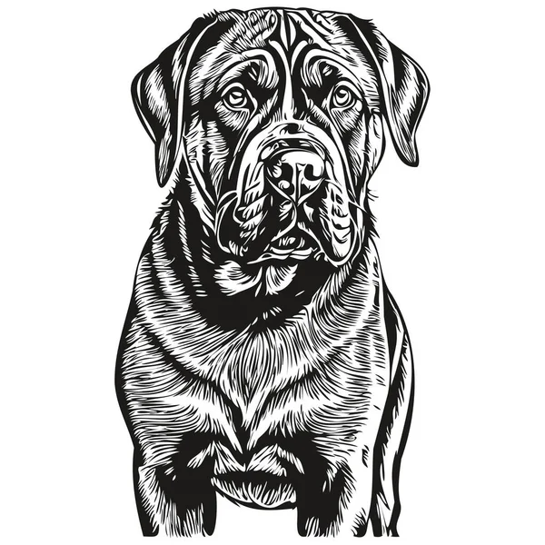 Bullmastiff Собака Мультяшный Портрет Чернила Лица Черно Белый Рисунок Эскиз — стоковый вектор