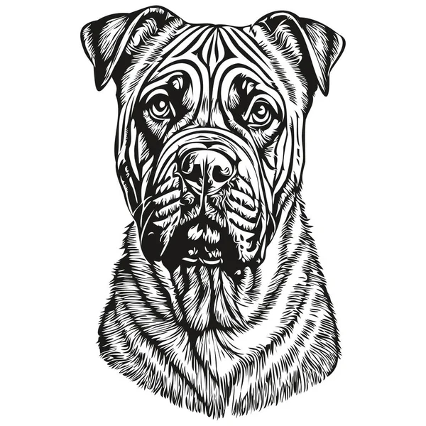斗牛犬雕刻矢量肖像 黑白逼真品种宠物人脸卡通画 — 图库矢量图片