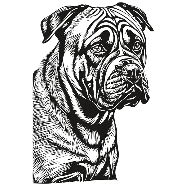 Bullmastiff Dog Face Vector Portrait Funny Outline Pet Illustration White — Stock Vector
