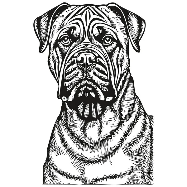Bullmastiff Hund Ansikte Vektor Porträtt Rolig Kontur Husdjur Illustration Vit — Stock vektor